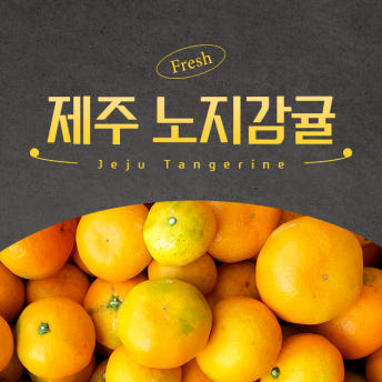과즙가득 제주 노지감귤 중혼합과 대과 10kg