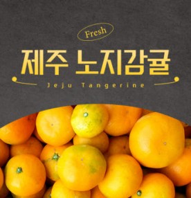 과즙가득 제주 노지감귤 중혼합과 대과 10kg