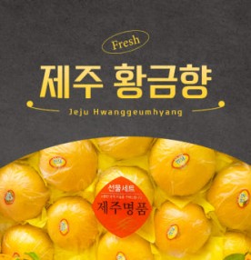 과즙가득 제주 황금향 선물세트 선물용 가정용 3kg, 5kg