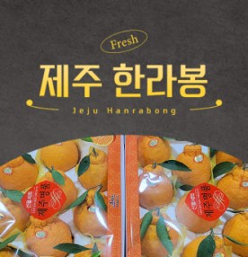 과즙가득 제주 한라봉 감귤 가정용 선물세트용 3kg, 5kg, 10kg