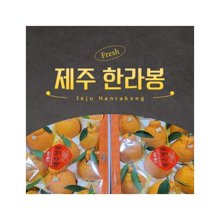 과즙가득 제주 한라봉 감귤 가정용 선물세트용 3kg, 5kg, 10kg